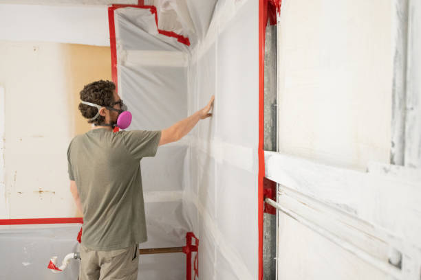 Environmental Consulting for Mold Prevention in Belleair, FL