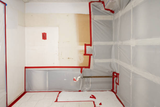 Best Black Mold Removal  in Belleair, FL