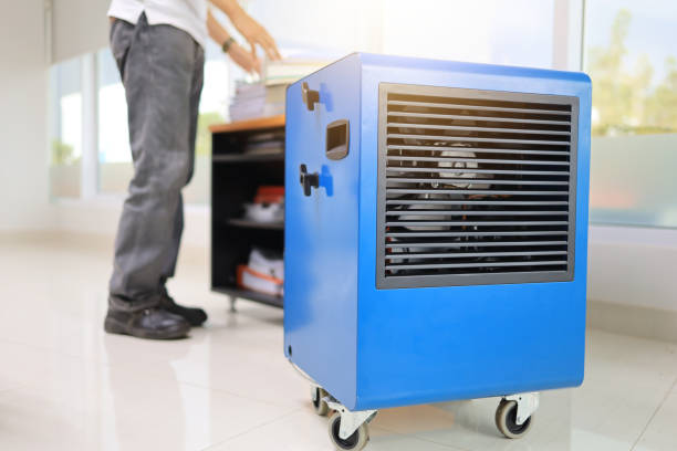 Best Post-Remediation Verification Testing  in Belleair, FL